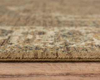 Rizzy Platinum PNM103 Brown/Beige Area Rug