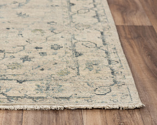 Rizzy Platinum PNM104 Beige/Green Area Rug