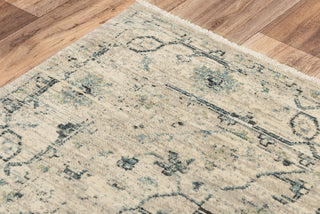 Rizzy Platinum PNM104 Beige/Green Area Rug