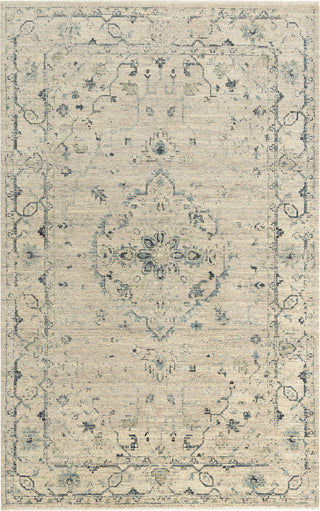 Rizzy Platinum PNM104 Beige/Green Area Rug