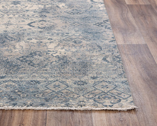 Rizzy Platinum PNM107 Beige Area Rug