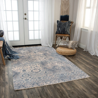 Rizzy Platinum PNM107 Beige Area Rug Room Image Feature