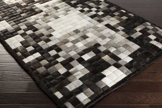 Surya Paint PNT-1000 Area Rug by Papilio