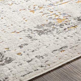 Surya Porto POO-2322 Area Rug