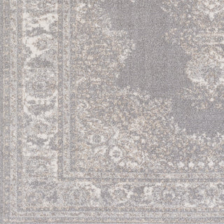 Artistic Weavers Potter Alyssa POT9904 Area Rug Swatch