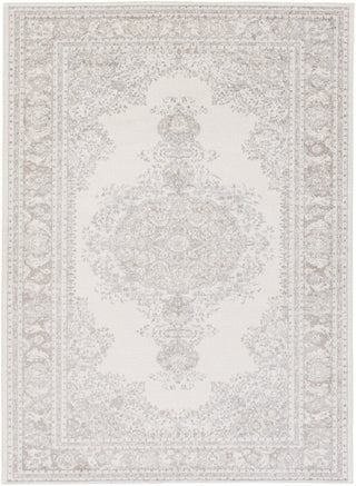 Artistic Weavers Potter Alyssa Light Gray/Ivory Area Rug main image