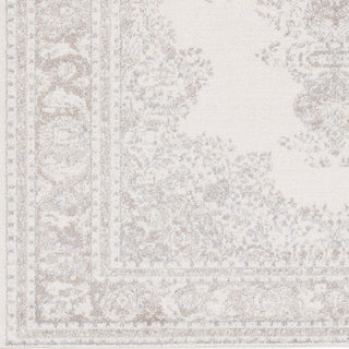 Artistic Weavers Potter Alyssa Light Gray/Ivory Area Rug Swatch