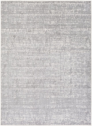 Artistic Weavers Potter Jenny Gray/Light Gray Area Rug main image