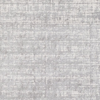 Artistic Weavers Potter Jenny Gray/Light Gray Area Rug Swatch