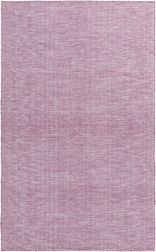 Surya Pipton PPT-6000 Area Rug 5' x 7'6''