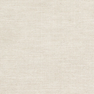 Surya Pipton PPT-6003 Area Rug Sample Swatch