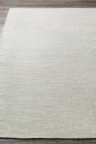 Surya Pipton PPT-6004 Hand Woven Area Rug 