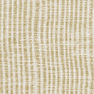 Surya Pipton PPT-6005 Area Rug Sample Swatch