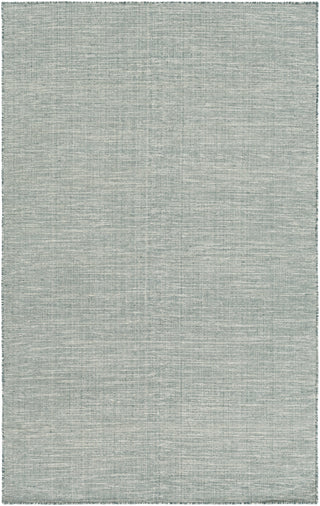 Surya Pipton PPT-6007 Area Rug 5' x 7'6''