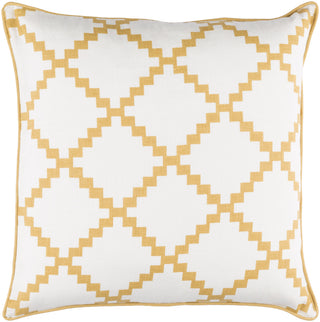 Surya Parsons PR007 Pillow 20 X 20 X 5 Poly filled