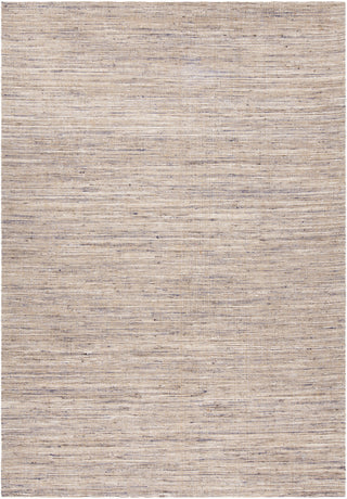 Chandra Pretor PRE-34200 Blue/Natural Area Rug main image