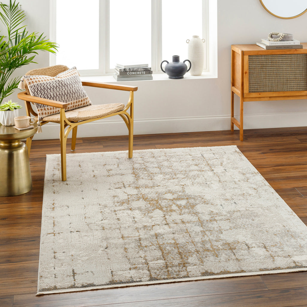 Surya Perugia PRG-2306 Area Rug Room Scene Feature