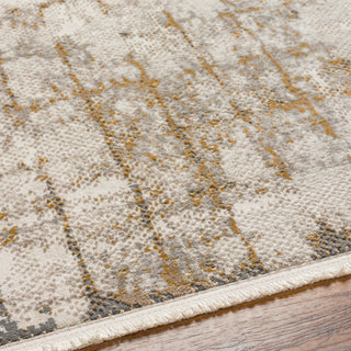 Surya Perugia PRG-2306 Area Rug Detail