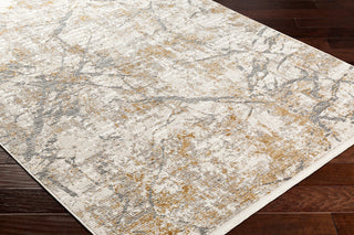 Surya Perugia PRG-2310 Area Rug Corner Shot