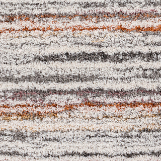 Surya Polaris PRI-2301 Area Rug Swatch