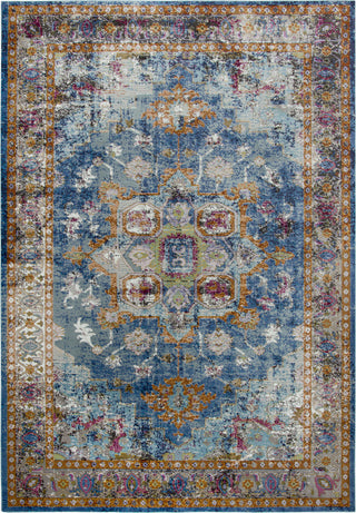 Rizzy Princeton PRI102 Area Rug main image