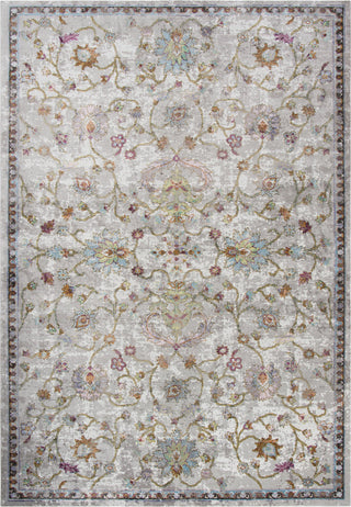 Rizzy Princeton PRI103 Area Rug main image