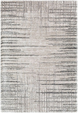 Surya Primo PRO-2302 Area Rug main image