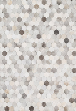 Loloi Promenade PO-02 Grey Area Rug Main Image