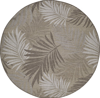 KAS Provo 5787 Natural Area Rug