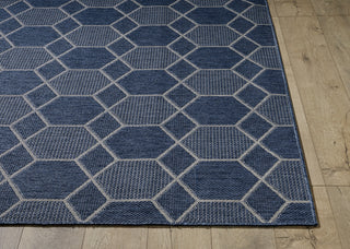 KAS Provo 5789 Blue Area Rug