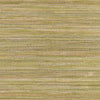 Surya Prairie PRR-3009 Lime Hand Woven Area Rug Sample Swatch