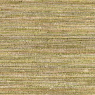 Surya Prairie PRR-3009 Lime Hand Woven Area Rug Sample Swatch