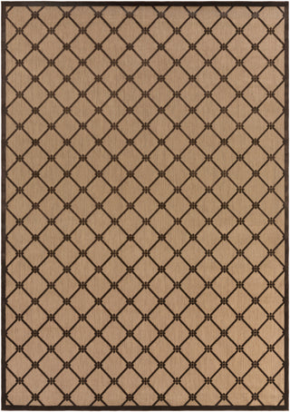 Surya Portera PRT-1025 Chocolate Area Rug 8'8'' x 12'