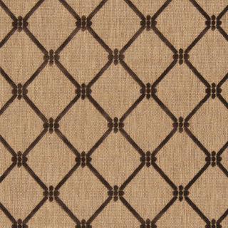 Surya Portera PRT-1025 Chocolate Machine Loomed Area Rug Sample Swatch