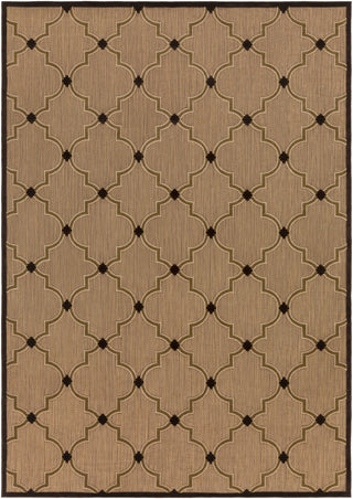 Surya Portera PRT-1048 Chocolate Area Rug 7'10'' x 10'8''