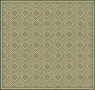 Portera PRT-1070 Green Area Rug by Surya 7'6'' Square