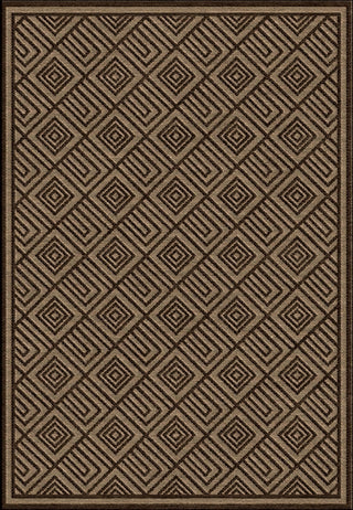 Portera PRT-1071 Brown Area Rug by Surya 5' X 7'6''