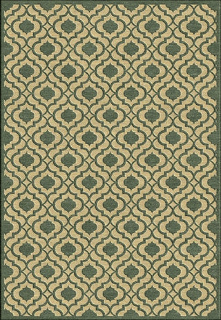 Portera PRT-1076 Green Area Rug by Surya 5' X 7'6''