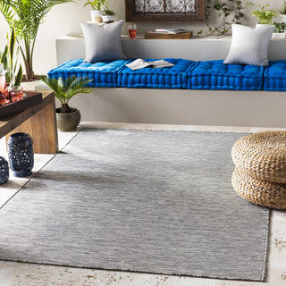 Surya Pasadena PSA-2300 Area Rug