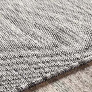 Surya Pasadena PSA-2300 Area Rug