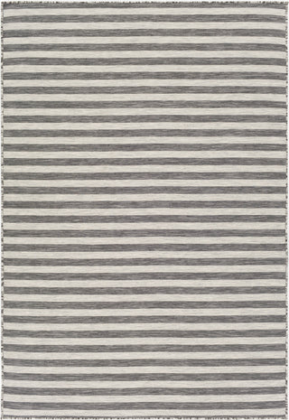 Surya Pasadena PSA-2304 Area Rug main image