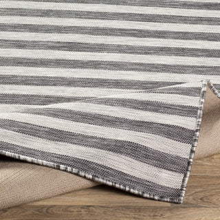 Livabliss Pasadena PSA-2304 Area Rug