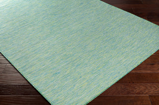 Surya Pasadena PSA-2306 Area Rug Corner Shot