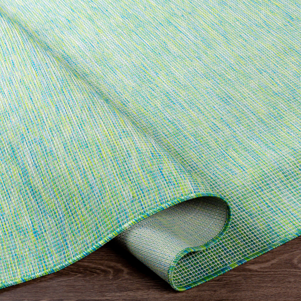 Livabliss Pasadena PSA-2306 Area Rug