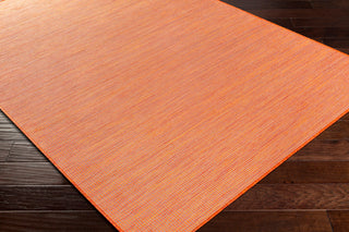 Surya Pasadena PSA-2313 Area Rug Corner Shot