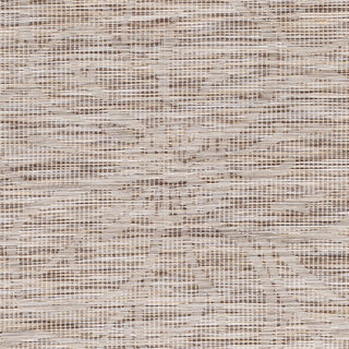 Surya Pasadena PSA-2325 Area Rug