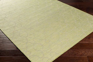 Surya Pasadena PSA-2330 Area Rug Corner Shot