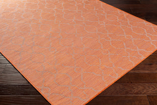 Surya Pasadena PSA-2335 Area Rug Corner Shot