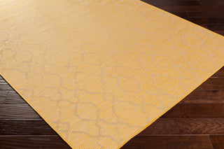 Surya Pasadena PSA-2336 Area Rug Corner Shot