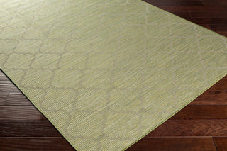 Surya Pasadena PSA-2337 Area Rug Corner Shot